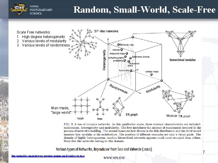 Random, Small-World, Scale-Free Scale Free networks: 1. High degree heterogeneity 2. Various levels of