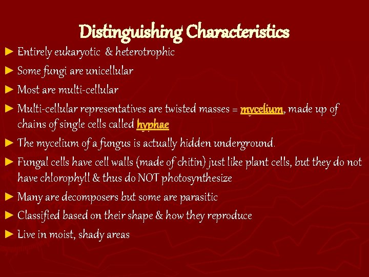 Distinguishing Characteristics ► Entirely eukaryotic & heterotrophic ► Some fungi are unicellular ► Most