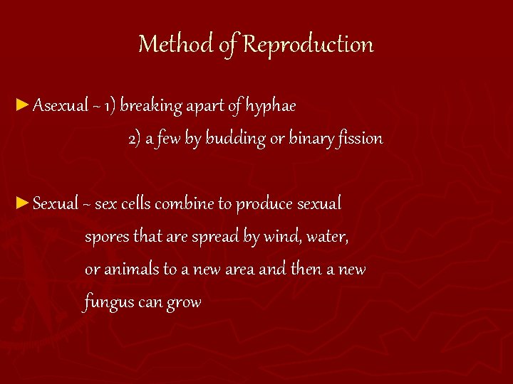 Method of Reproduction ► Asexual ~ 1) breaking apart of hyphae 2) a few