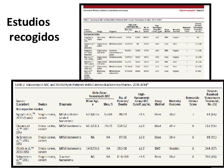 Estudios recogidos 