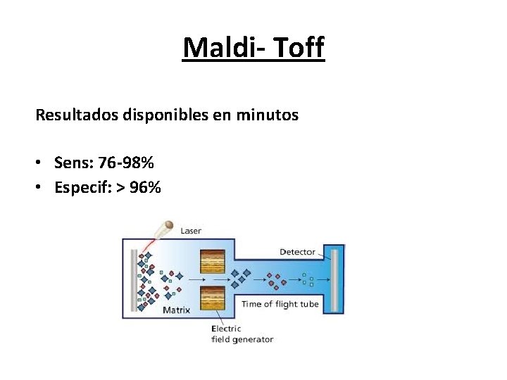 Maldi- Toff Resultados disponibles en minutos • Sens: 76 -98% • Especif: > 96%