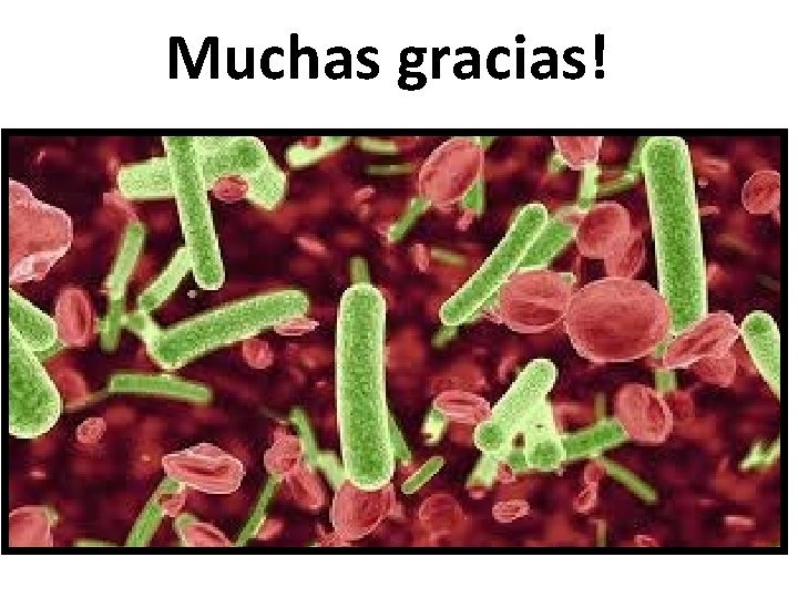 Muchas gracias! 