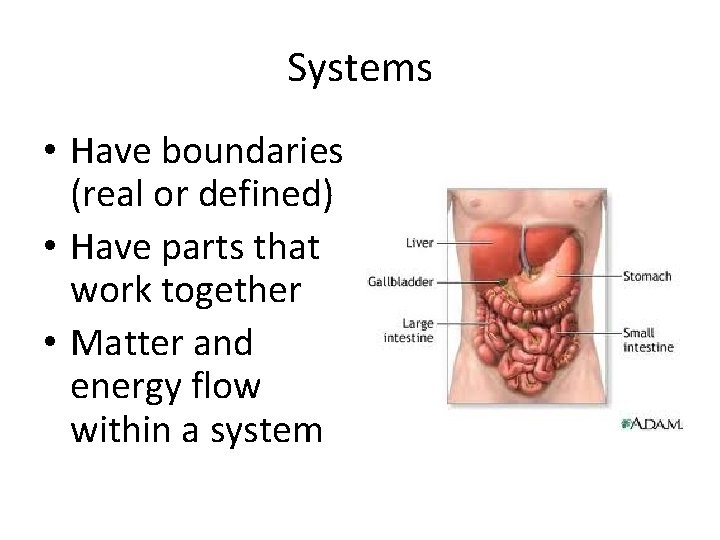 Systems • Have boundaries (real or defined) • Have parts that work together •