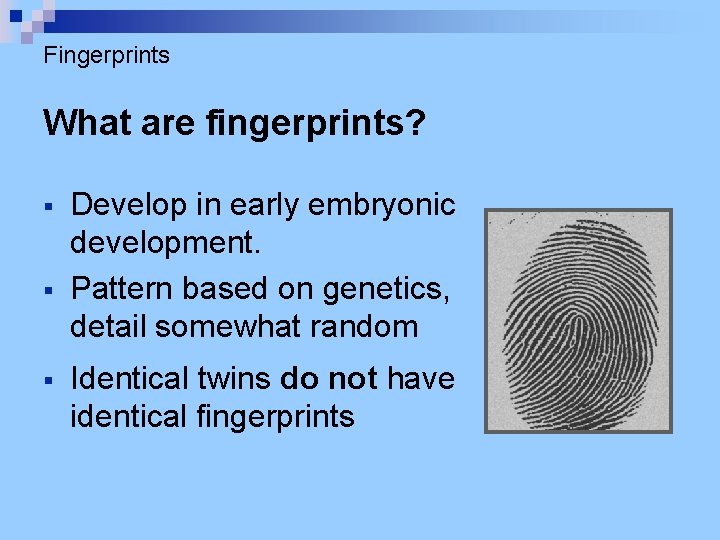 Fingerprints What are fingerprints? § § § Develop in early embryonic development. Pattern based