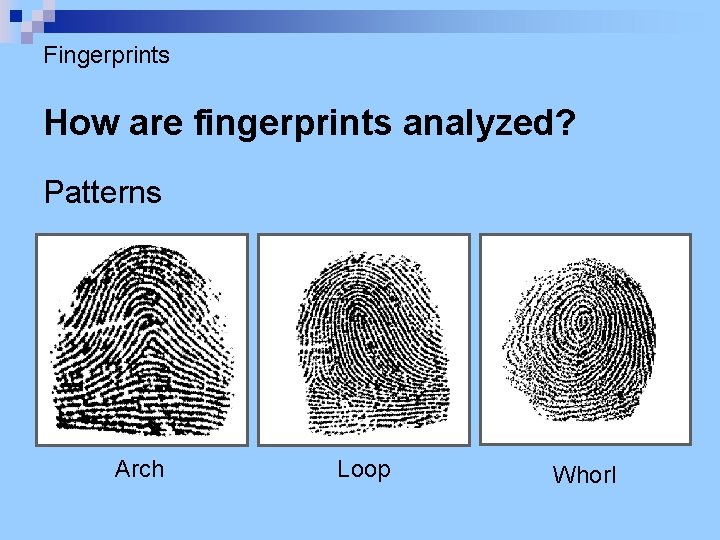 Fingerprints How are fingerprints analyzed? Patterns Arch Loop Whorl 