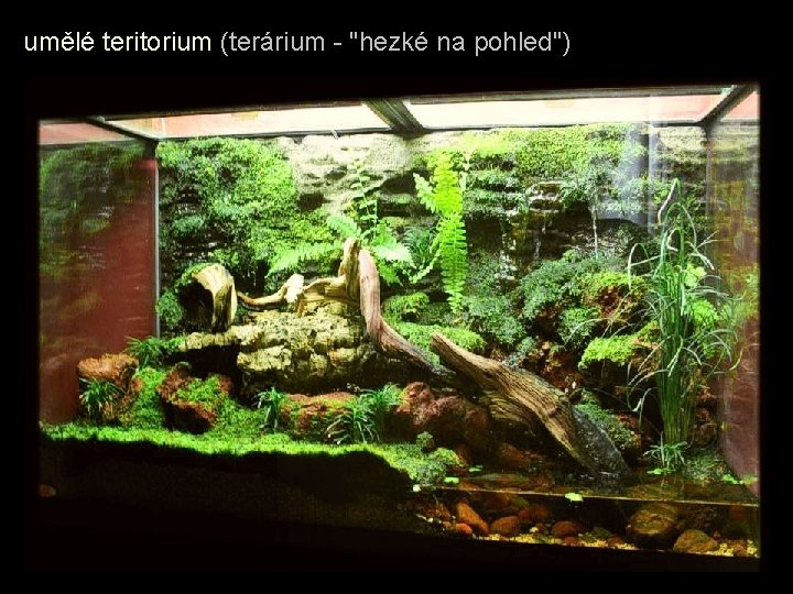 umělé teritorium (terárium - "hezké na pohled") 