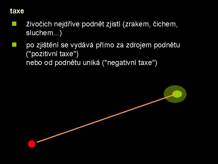 taxe n živočich nejdříve podnět zjistí (zrakem, čichem, sluchem. . . ) n po