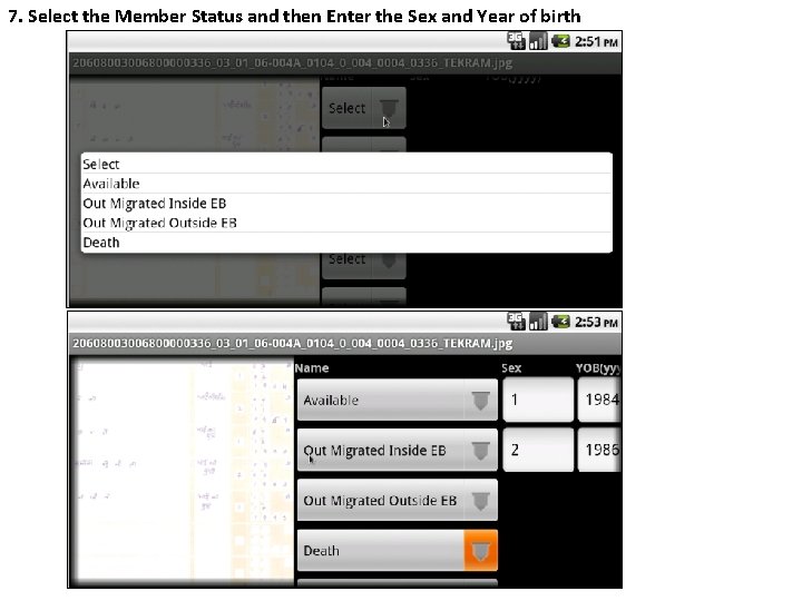 7. Select the Member Status and then Enter the Sex and Year of birth