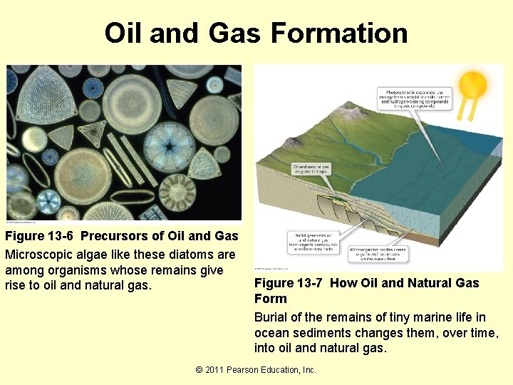 Oil and Gas Formation Figure 13 -6 Precursors of Oil and Gas Microscopic algae