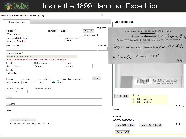 Inside the 1899 Harriman Expedition 16 