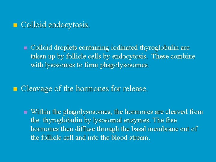 n Colloid endocytosis. n n Colloid droplets containing iodinated thyroglobulin are taken up by