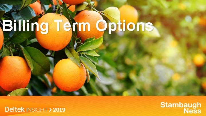 Billing Term Options 