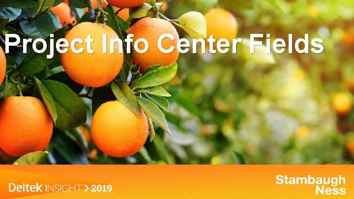 Project Info Center Fields 