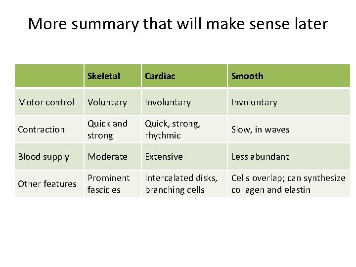 More summary that will make sense later Skeletal Cardiac Smooth Motor control Voluntary Involuntary