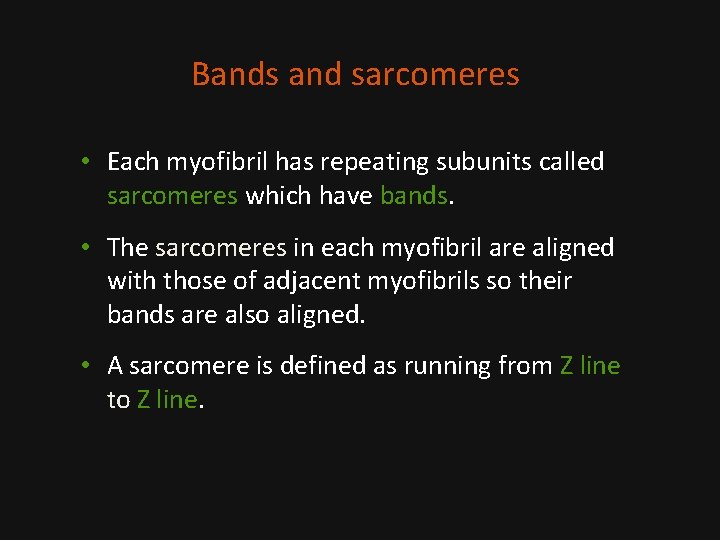 Bands and sarcomeres • Each myofibril has repeating subunits called sarcomeres which have bands.