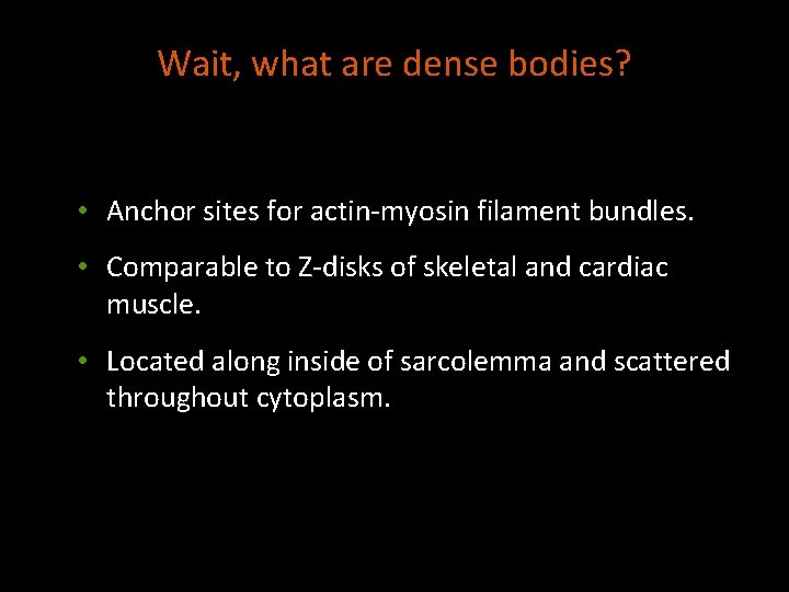 Wait, what are dense bodies? • Anchor sites for actin-myosin filament bundles. • Comparable