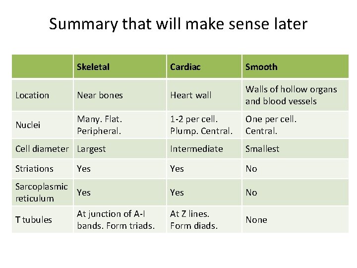 Summary that will make sense later Skeletal Cardiac Smooth Location Near bones Heart wall