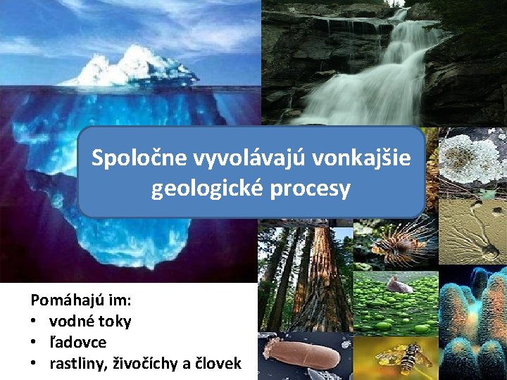 Spoločne vyvolávajú vonkajšie geologické procesy Pomáhajú im: • vodné toky • ľadovce • rastliny,