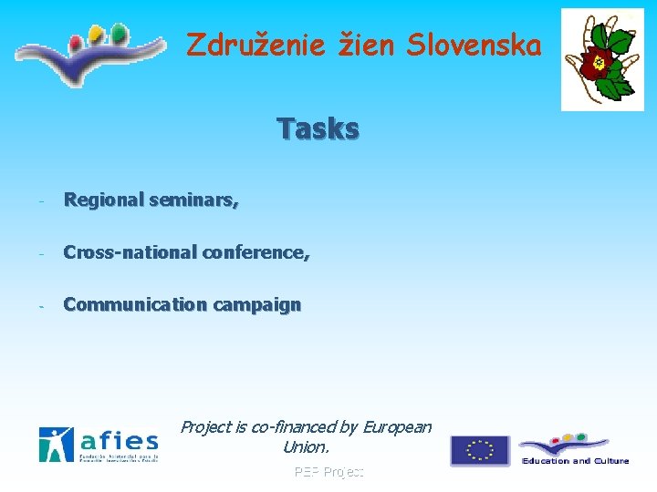Združenie žien Slovenska Tasks - Regional seminars, - Cross-national conference, - Communication campaign Project