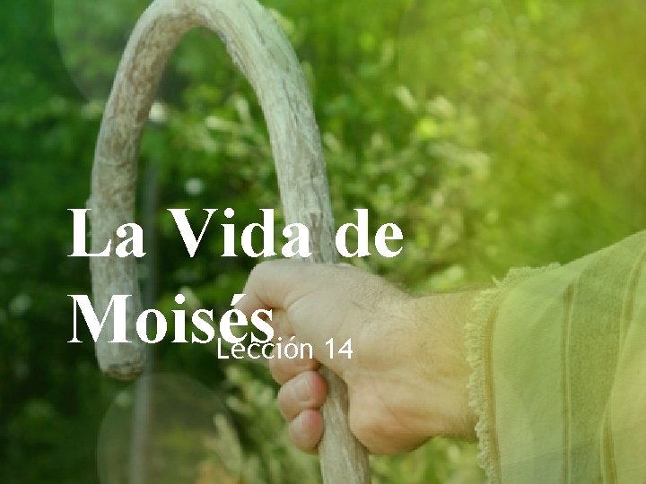 La Vida de Moisés Lección 14 