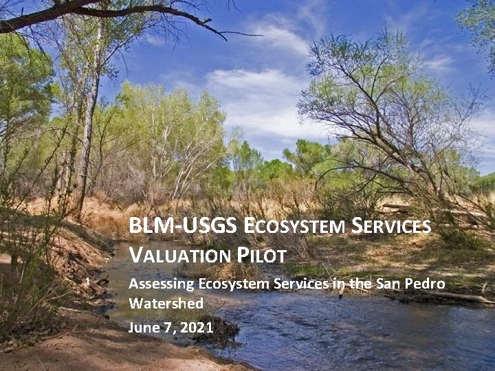 BLM-USGS ECOSYSTEM SERVICES VALUATION PILOT 1 Assessing Ecosystem Services in the San Pedro Watershed