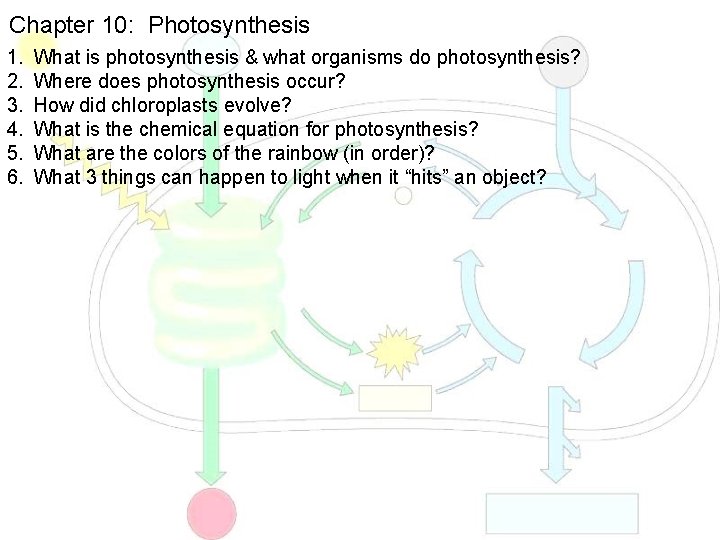 Chapter 10: Photosynthesis 1. 2. 3. 4. 5. 6. What is photosynthesis & what