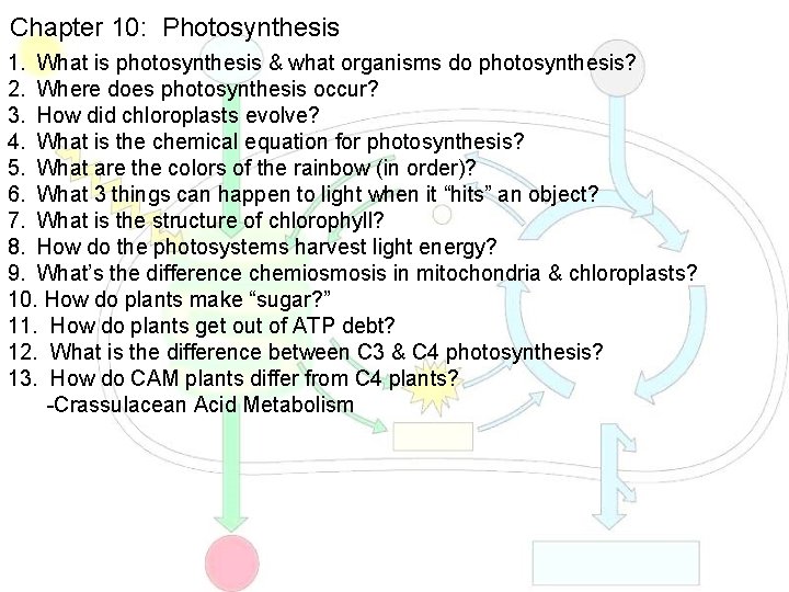 Chapter 10: Photosynthesis 1. What is photosynthesis & what organisms do photosynthesis? 2. Where