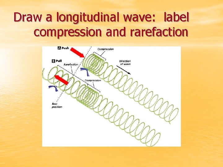 Draw a longitudinal wave: label compression and rarefaction 