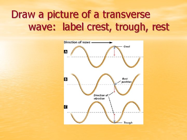 Draw a picture of a transverse wave: label crest, trough, rest 