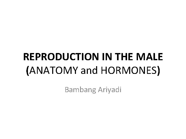 REPRODUCTION IN THE MALE (ANATOMY and HORMONES) Bambang Ariyadi 