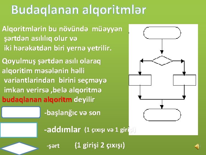 Budaqlanan alqoritmlər Alqoritmlərin bu növündə müəyyən şərtdən asılılıq olur və iki hərəkətdən biri yernə
