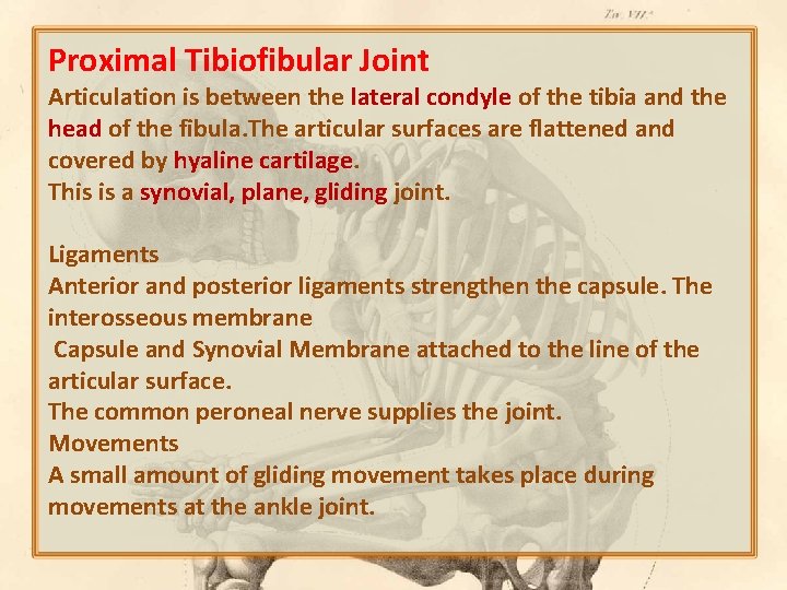 Proximal Tibiofibular Joint Articulation is between the lateral condyle of the tibia and the