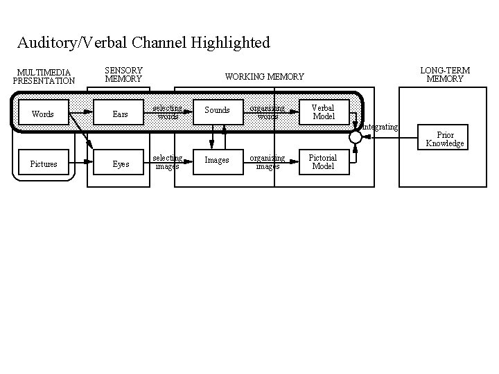 Auditory/Verbal Channel Highlighted MULTIMEDIA PRESENTATION Words SENSORY MEMORY Ears LONG-TERM MEMORY WORKING MEMORY selecting Auditory/Verbal Channel Highlighted MULTIMEDIA PRESENTATION Words SENSORY MEMORY Ears LONG-TERM MEMORY WORKING MEMORY selecting