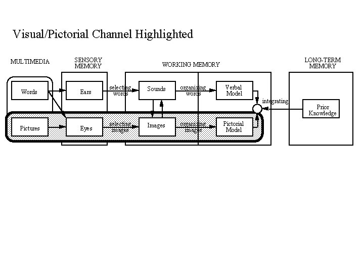 Visual/Pictorial Channel Highlighted MULTIMEDIA Words SENSORY MEMORY Ears LONG-TERM MEMORY WORKING MEMORY selecting words Visual/Pictorial Channel Highlighted MULTIMEDIA Words SENSORY MEMORY Ears LONG-TERM MEMORY WORKING MEMORY selecting words