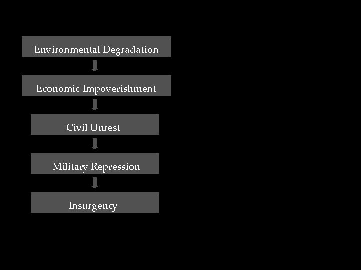 Environmental Degradation Economic Impoverishment Civil Unrest Military Repression Insurgency 