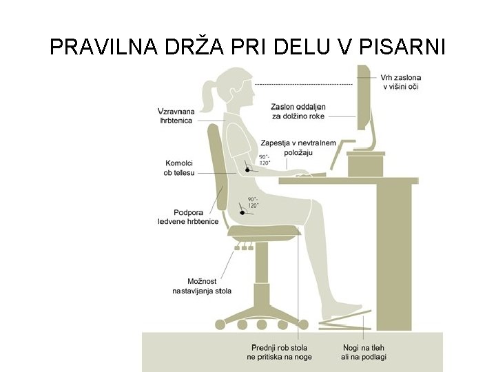 PRAVILNA DRŽA PRI DELU V PISARNI 