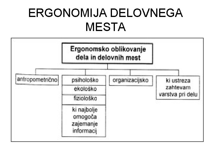 ERGONOMIJA DELOVNEGA MESTA 