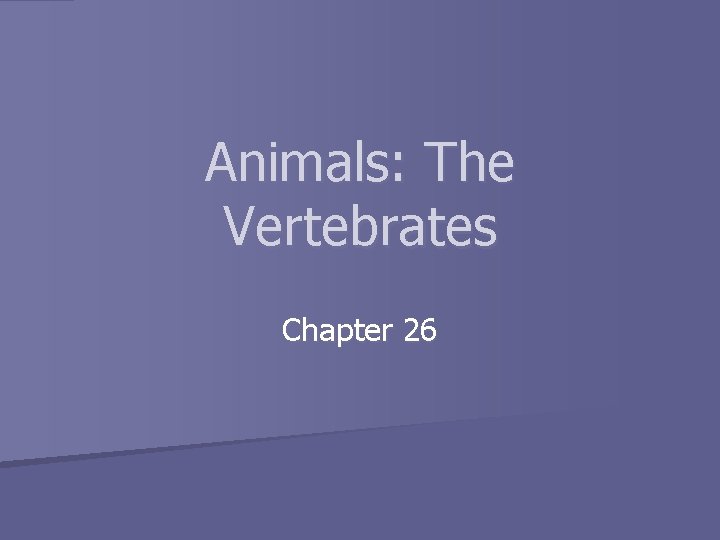 Animals: The Vertebrates Chapter 26 