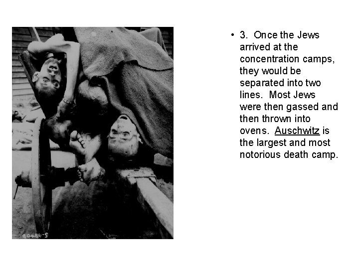  • 3. Once the Jews arrived at the concentration camps, they would be