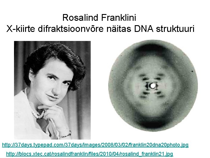 Rosalind Franklini X-kiirte difraktsioonvõre näitas DNA struktuuri http: //37 days. typepad. com/37 days/images/2008/03/02/franklin 20