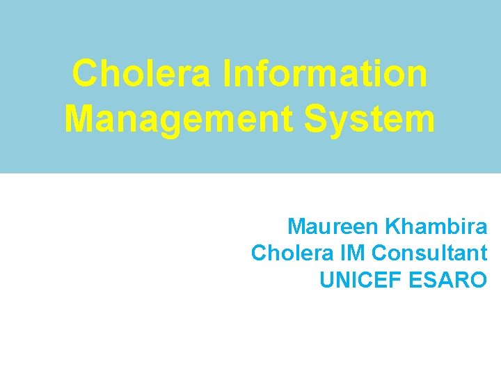 Cholera Information Management System Maureen Khambira Cholera IM Consultant UNICEF ESARO 