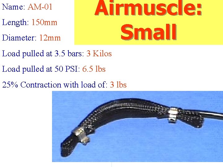 Name: AM-01 Length: 150 mm Diameter: 12 mm Airmuscle: Small Load pulled at 3.
