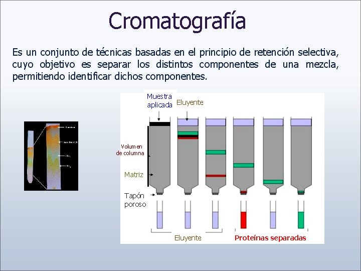 Cromatografía Es un conjunto de técnicas basadas en el principio de retención selectiva, cuyo