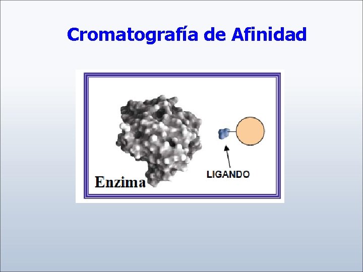 Cromatografía de Afinidad 