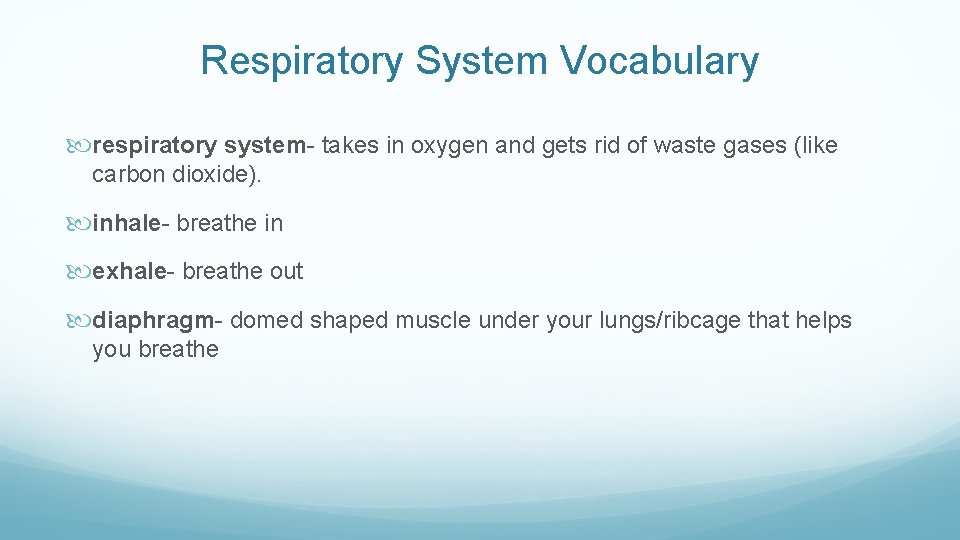 Respiratory System Vocabulary respiratory system- takes in oxygen and gets rid of waste gases