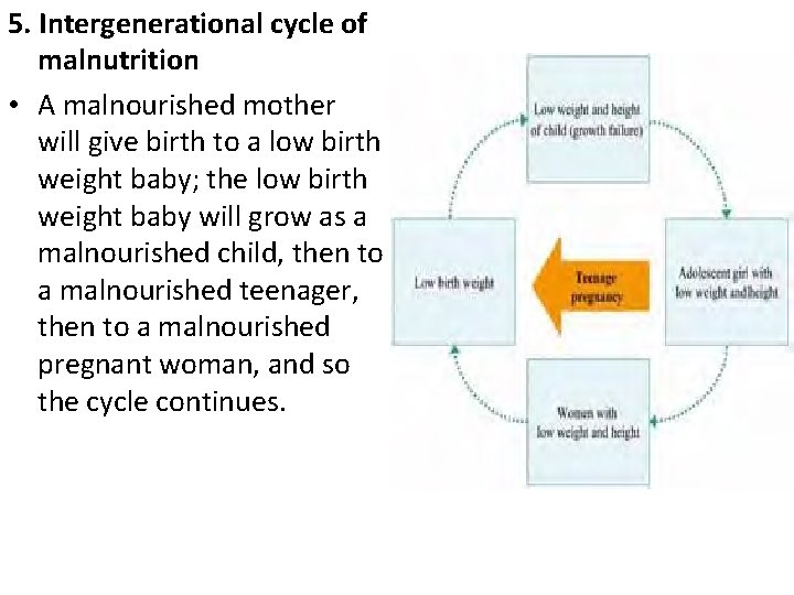 5. Intergenerational cycle of malnutrition • A malnourished mother will give birth to a