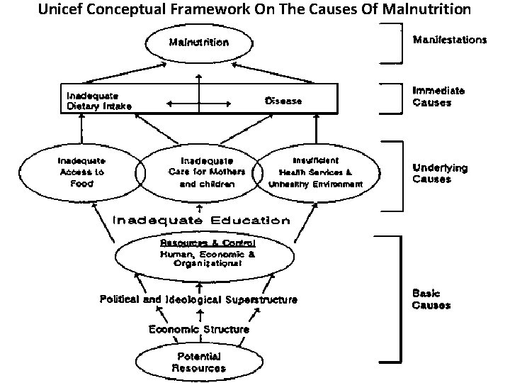 Unicef Conceptual Framework On The Causes Of Malnutrition 