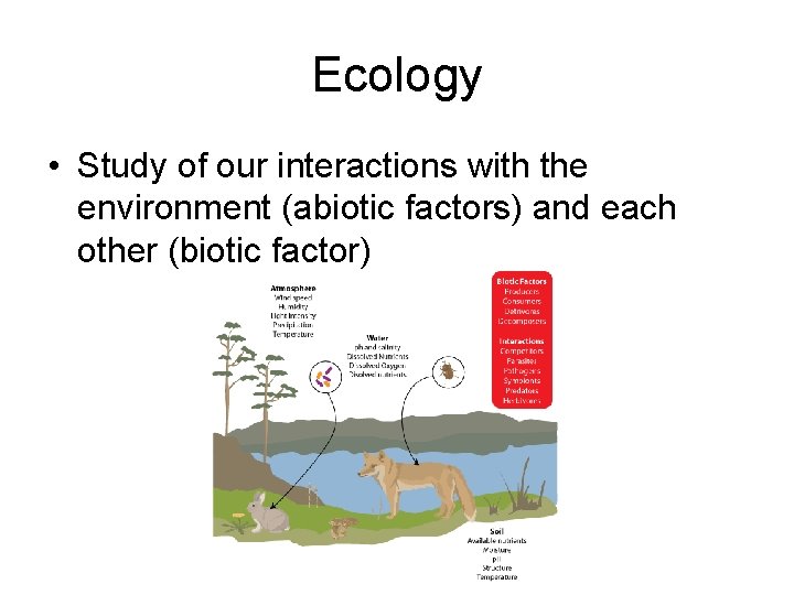 Ecology • Study of our interactions with the environment (abiotic factors) and each other