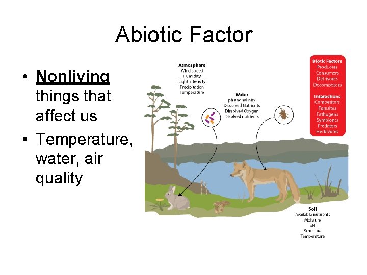 Abiotic Factor • Nonliving things that affect us • Temperature, water, air quality 