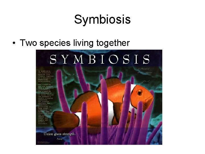 Symbiosis • Two species living together 